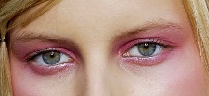 PINK MARTINI- Pink Rose duo chrome Eyeshadow