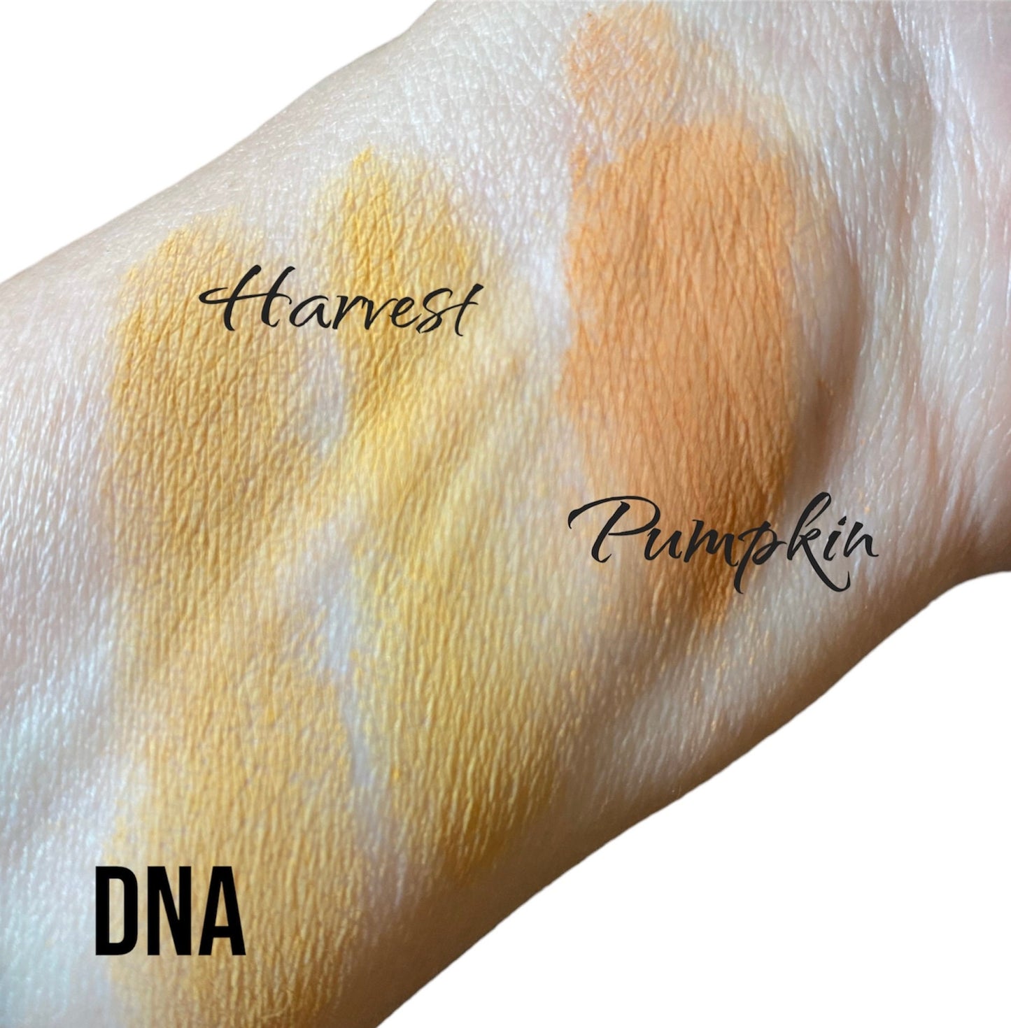 Matte Orange  Pumpkin Pale Rust Makeup Eyeshadow  loose  Eye Shadow   Mineral Makeup Vegan Natural  Pigmented Organic PUMPKIN